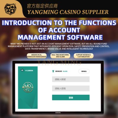 comprar Sistema de Contabilidade de Cassino Personalizável – Gerenciamento Financeiro Eficiente e Seguro Fabricação em linha